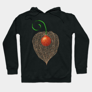 Delicate Chinese Lantern Fruit Art Hoodie