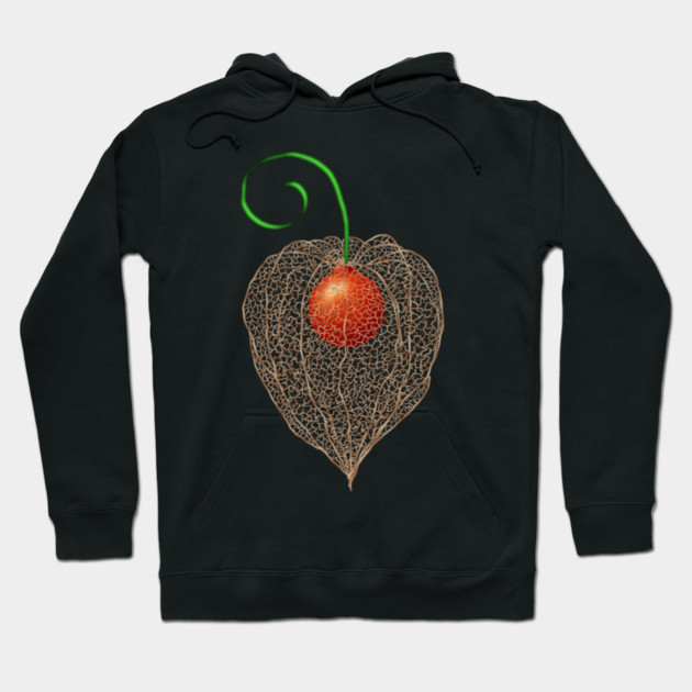Delicate Chinese Lantern Fruit Art Hoodie by H. R. Sinclair