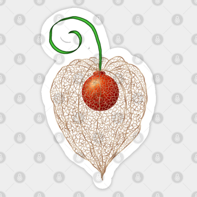 Delicate Chinese Lantern Fruit Art Sticker by H. R. Sinclair