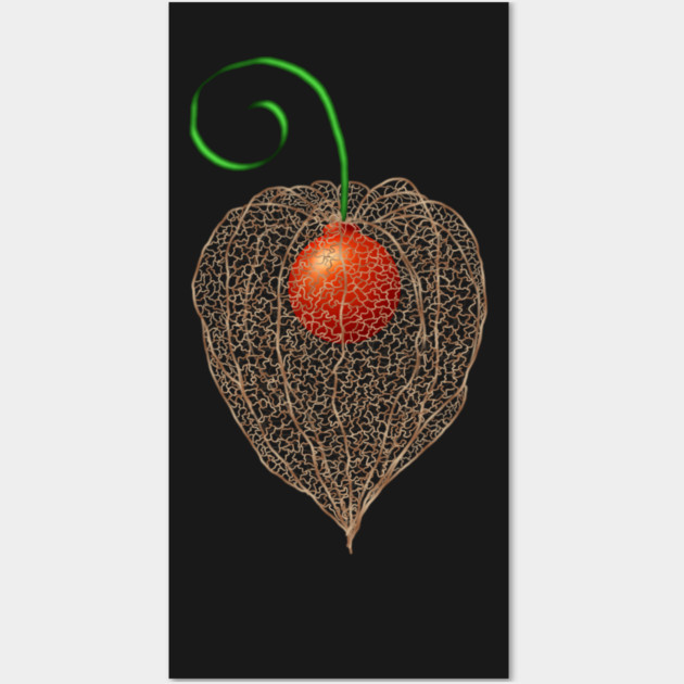 Delicate Chinese Lantern Fruit Art Wall Art by H. R. Sinclair
