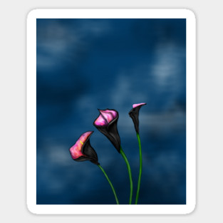 Black Calla Lilies Pink Center Sticker