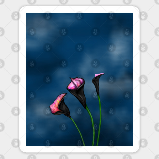 Black Calla Lilies Pink Center Sticker by H. R. Sinclair
