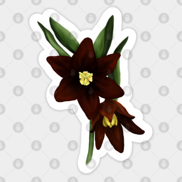 Chocolate Lily Flowers Digital Art Sticker by H. R. Sinclair