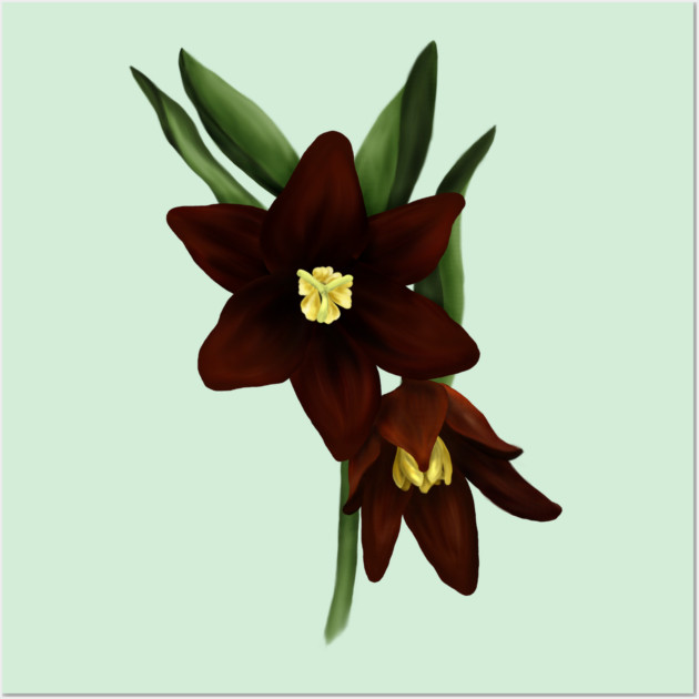 Chocolate Lily Flowers Digital Art Wall Art by H. R. Sinclair