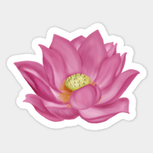 Pink Lotus Blossom Digital Art Sticker