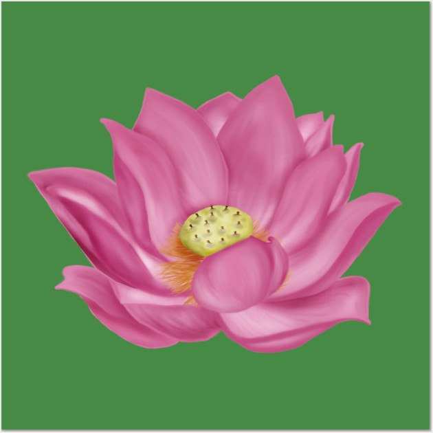 Pink Lotus Blossom Digital Art Wall Art by H. R. Sinclair