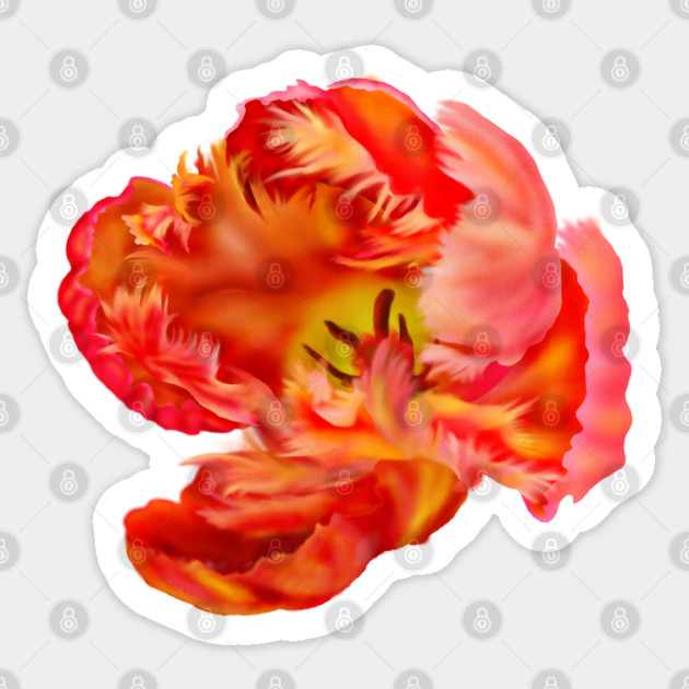 Flaming Orange & Yellow Parrot Tulip Digital Art Sticker by H. R. Sinclair