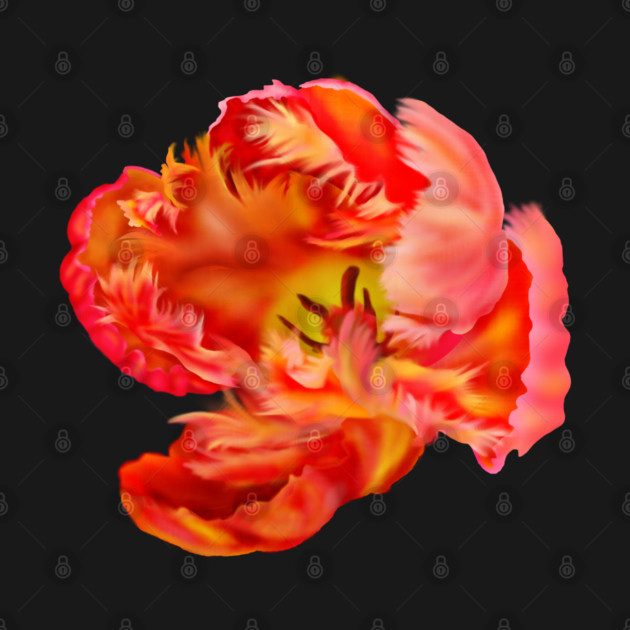 Flaming Orange & Yellow Parrot Tulip Digital Art by H. R. Sinclair