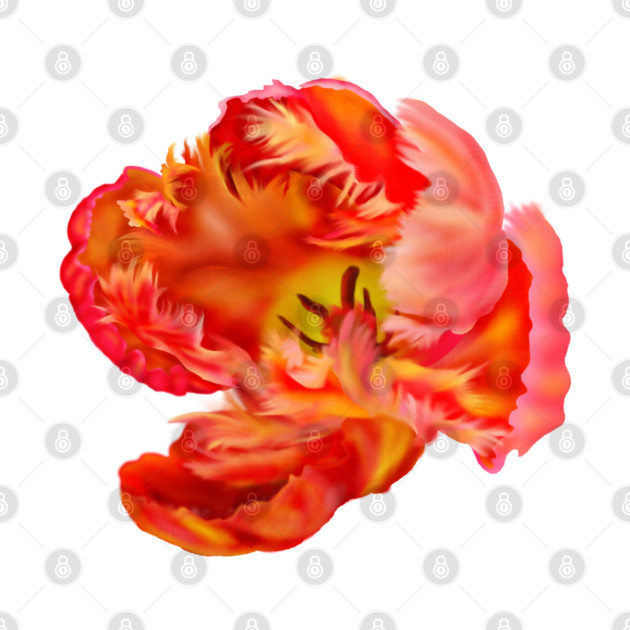 Flaming Orange & Yellow Parrot Tulip Digital Art by H. R. Sinclair