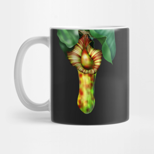 Nepenthes, Pitcher Plant Art by H. R. Sinclair
