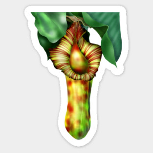 Nepenthes, Pitcher Plant Art Sticker