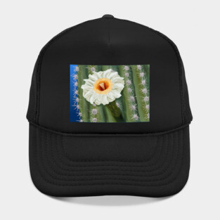 Saguaro Cactus White Flower Art Hat