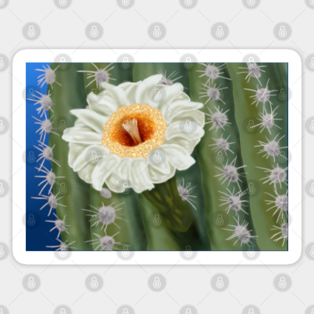 Saguaro Cactus White Flower Art Sticker by H. R. Sinclair