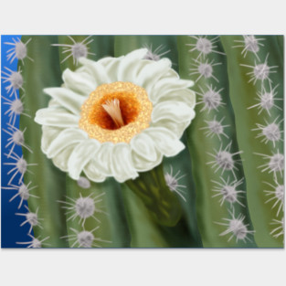 Saguaro Cactus White Flower Art Posters and Art