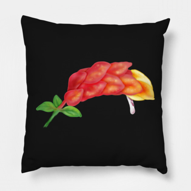 Pink Shrimp Plant Flower Digital Art Pillow by H. R. Sinclair