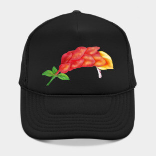 Pink Shrimp Plant Flower Digital Art Hat