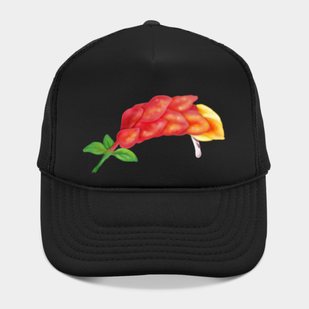 Pink Shrimp Plant Flower Digital Art by H. R. Sinclair