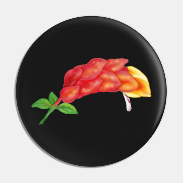 Pink Shrimp Plant Flower Digital Art Pin by H. R. Sinclair