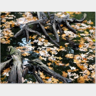 Autumn Otter Pond of Leaves Posters and Art