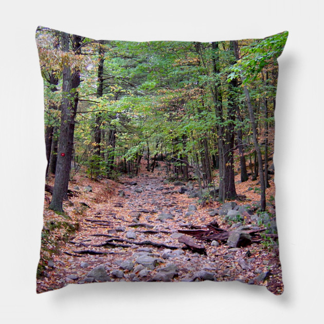 Autumn on Blue Hills Reservation Red Dot Trail Pillow by H. R. Sinclair