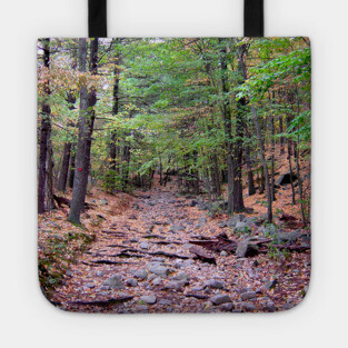 Autumn on Blue Hills Reservation Red Dot Trail Tote