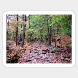 Autumn on Blue Hills Reservation Red Dot Trail Sticker