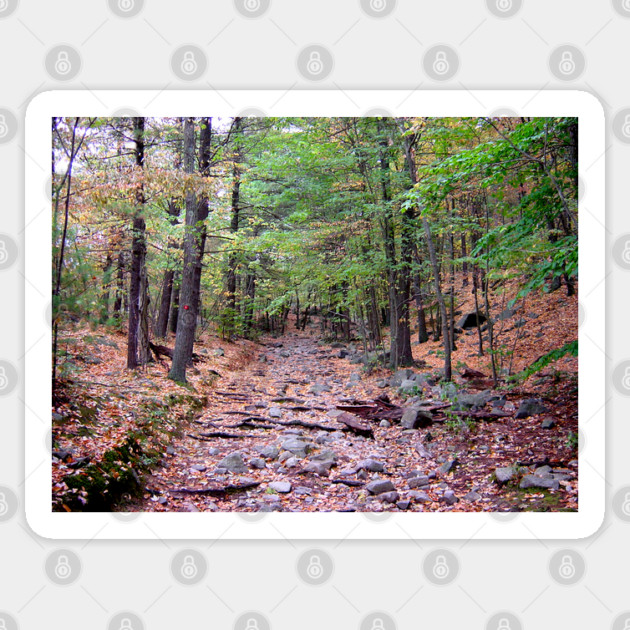 Autumn on Blue Hills Reservation Red Dot Trail Sticker by H. R. Sinclair
