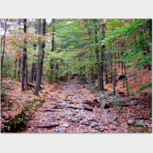 Autumn on Blue Hills Reservation Red Dot Trail Posters and Art