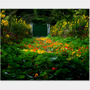 Nasturtiums in Monet's Garden, Giverny, France Posters and Art