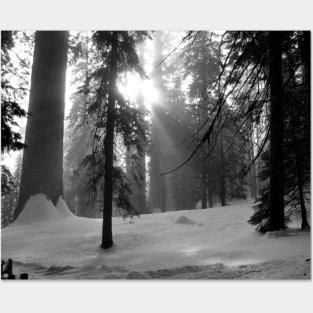Winter Snow in Kings Canyon National Park Posters and Art