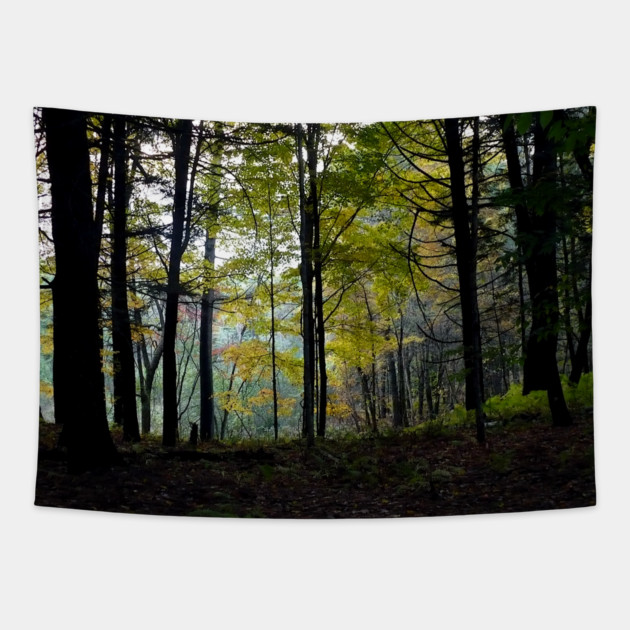 Mystical Woods at Quechee Gorge Tapestry by H. R. Sinclair