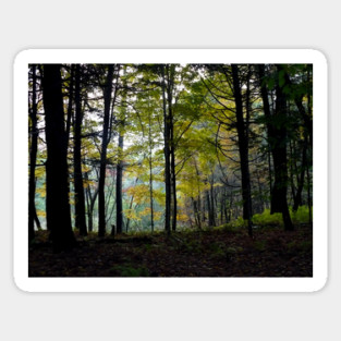 Mystical Woods at Quechee Gorge Sticker