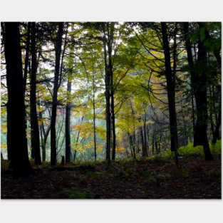 Mystical Woods at Quechee Gorge Posters and Art