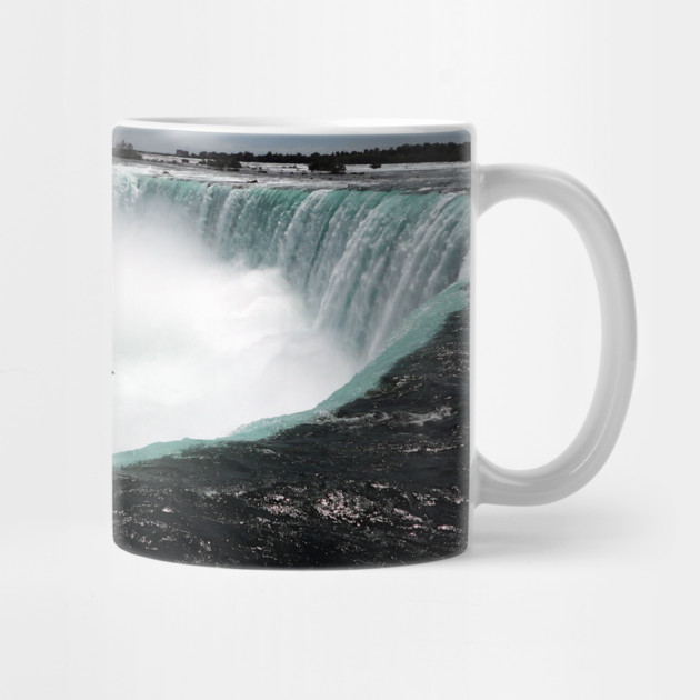 Niagara Falls with Seagull by H. R. Sinclair