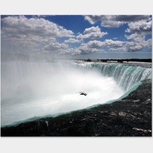 Niagara Falls with Seagull Posters and Art