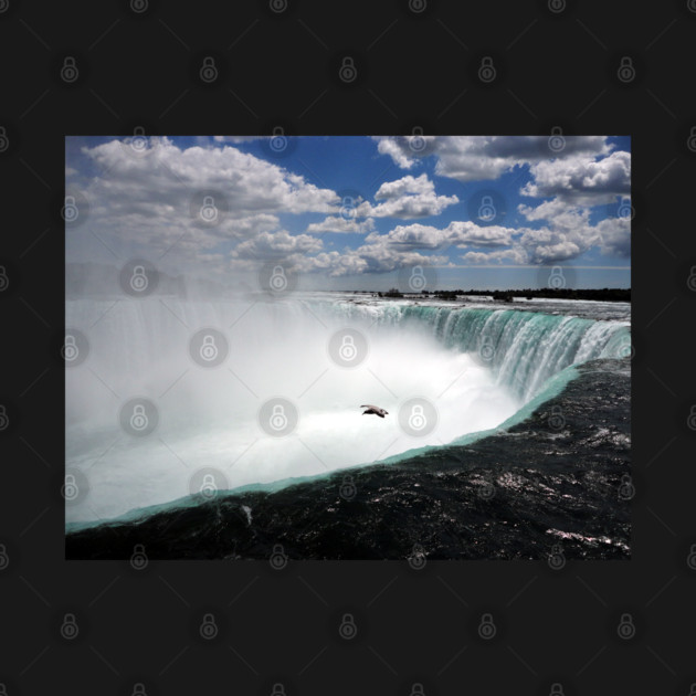 Niagara Falls with Seagull by H. R. Sinclair