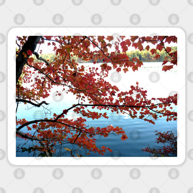 Autumn at Walden Pond Sticker by H. R. Sinclair