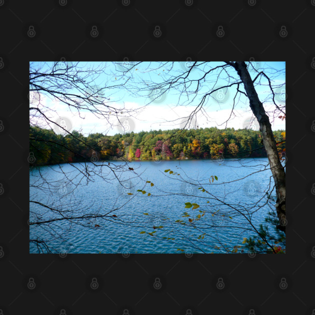 Walden Pond in the Fall by H. R. Sinclair