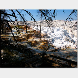 Limestone Terrace Mammoth Hot Spring Yellowstone Posters and Art