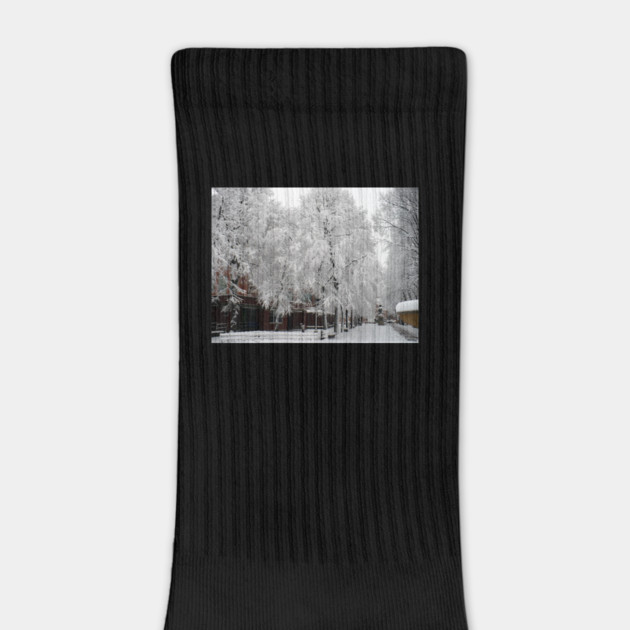 Paul Revere Mall Trees covered in Winter Snow by H. R. Sinclair