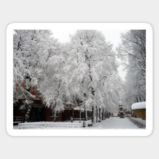 Paul Revere Mall Trees covered in Winter Snow Sticker