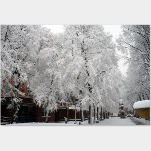 Paul Revere Mall Trees covered in Winter Snow Posters and Art