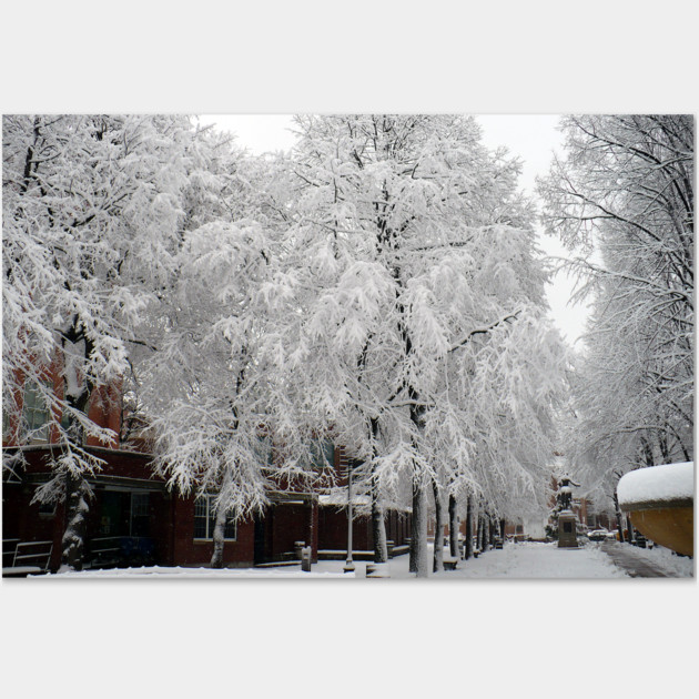 Paul Revere Mall Trees covered in Winter Snow Wall Art by H. R. Sinclair