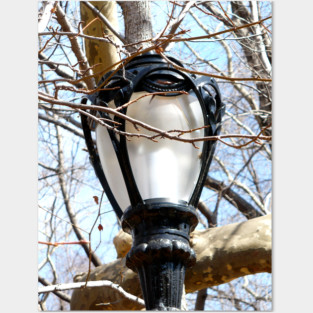 Lamp Post New York Central Park Posters and Art