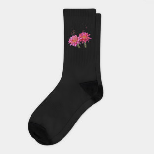 Colorful Cactus Flowers with Bubbles Socks