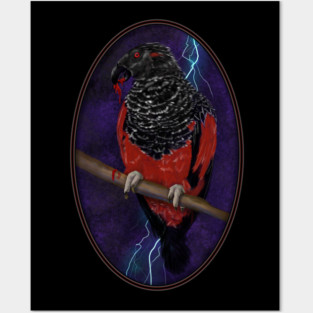 Dracula Parrot Posters and Art