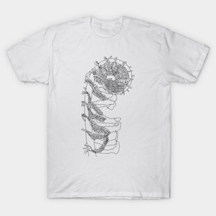 Fiddlehead Fern Illustration T-Shirt