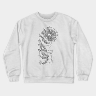Fiddlehead Fern Illustration Crewneck Sweatshirt