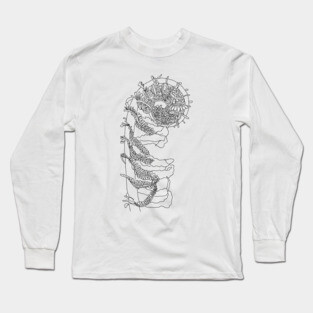 Fiddlehead Fern Illustration Long Sleeve T-Shirt