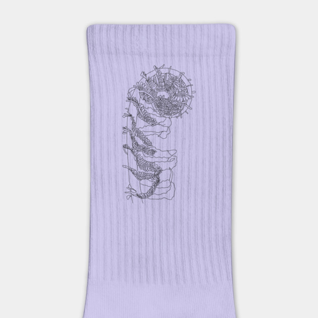 Fiddlehead Fern Illustration by H. R. Sinclair